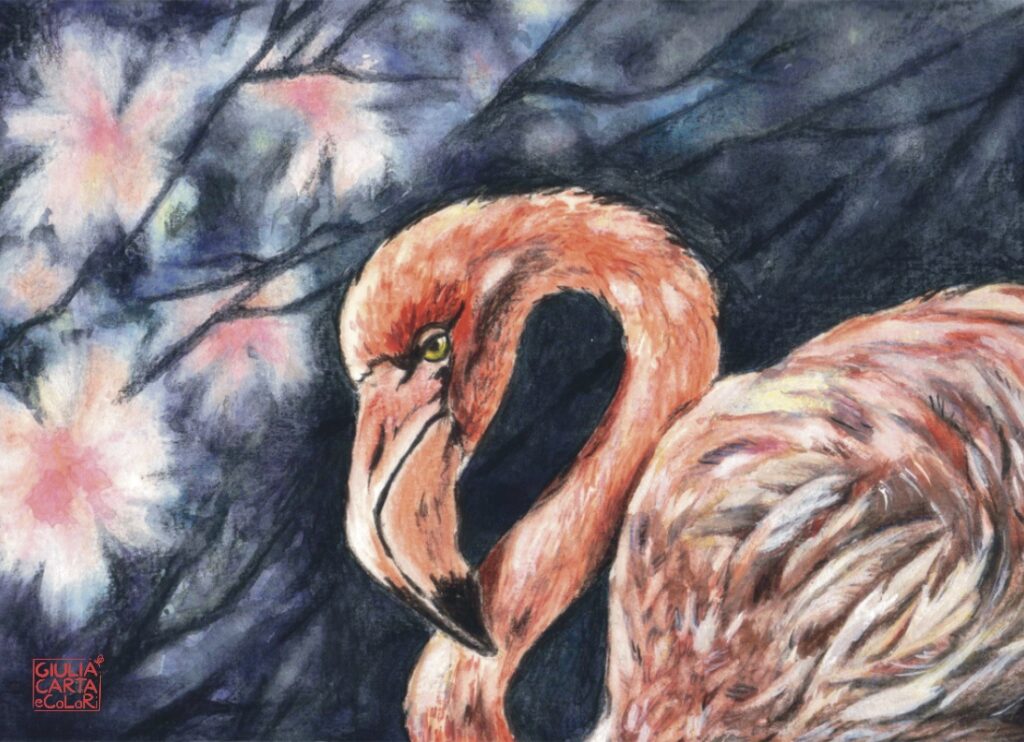 Illustrazione di un fenicottero visto di profilo con uno sfondo blu scuro con fiori rosa