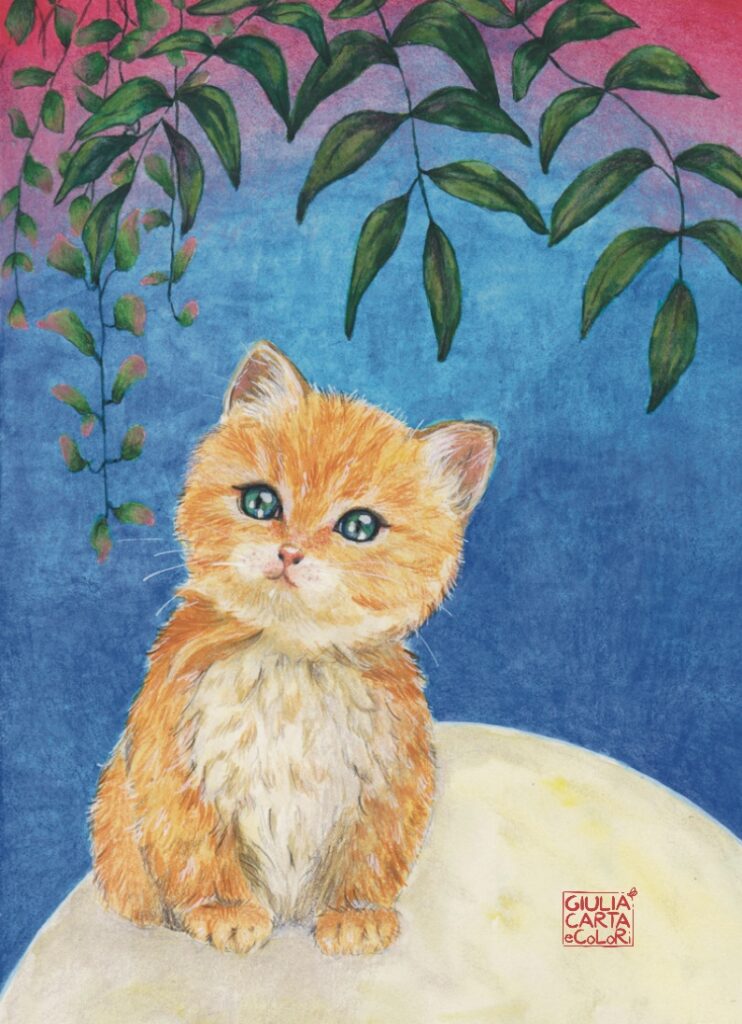 Illustrazione di un gattino arancione che sembra essere sulla luna. In alto c'è una cornice di foglie e lo sfondo è blu tendente al rosa