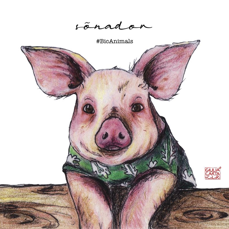 Illustrazione realistica di un maialino in primo piano con una maglietta verde e la scritta Sonador BicAnimals sullo sfondo