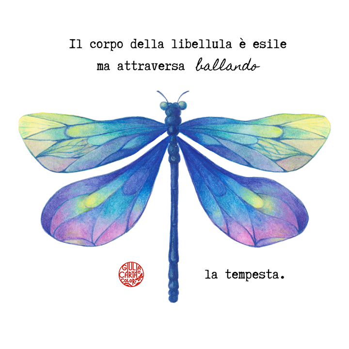 Libellula illustrata blu gialla e viola